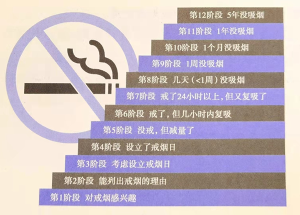 成功戒烟的12个阶段是什么？