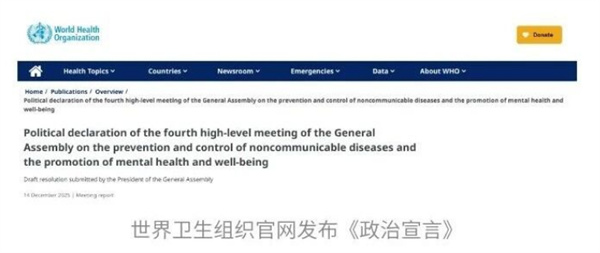 重磅解读丨控烟已成为全球政治承诺中的关键健康行动——联合国政治宣言新信号：控烟被置于可预防危险因素之首